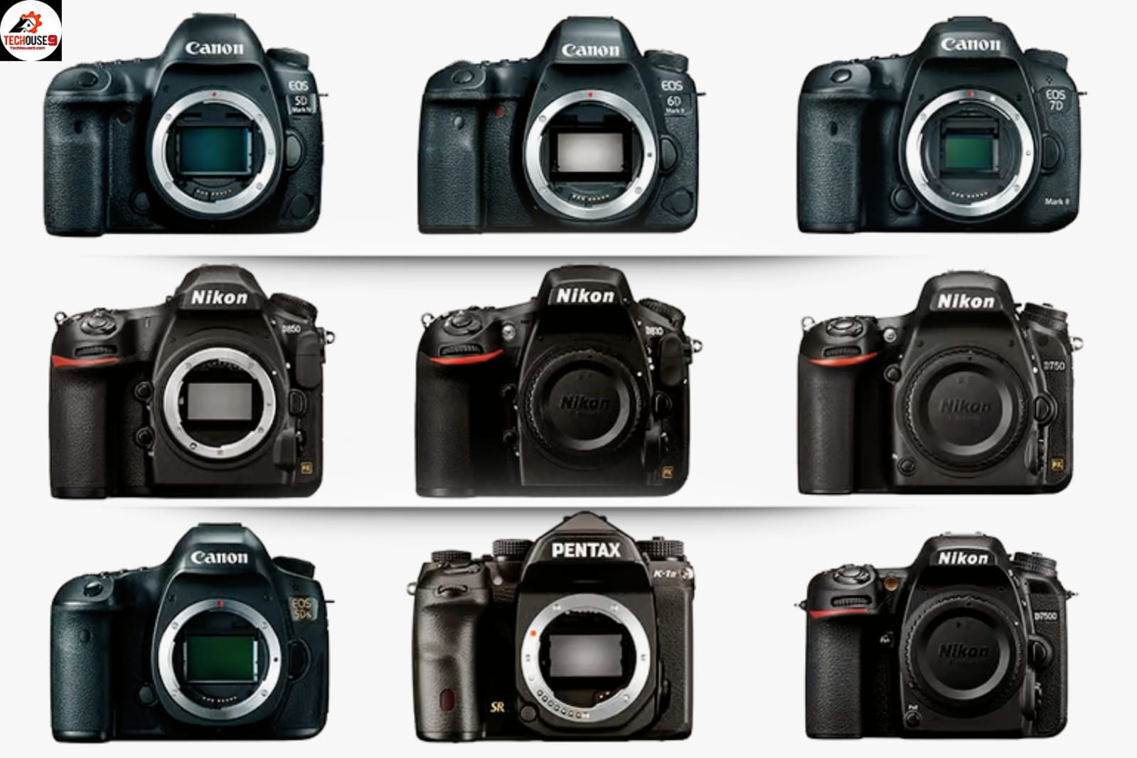 Top Best DSLR Cameras You Can Buy in 2024, Ranked